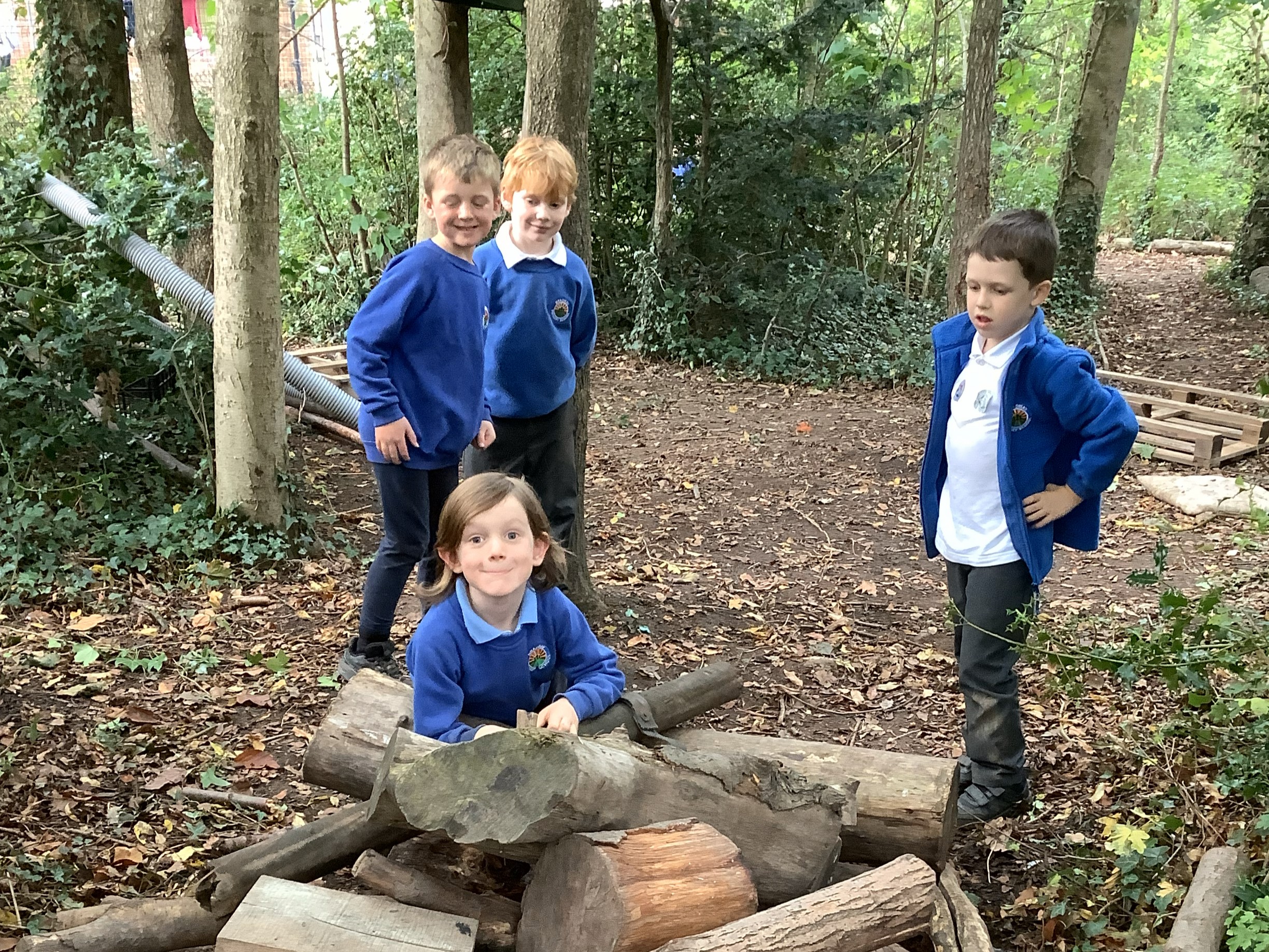 Y1 in the Forest